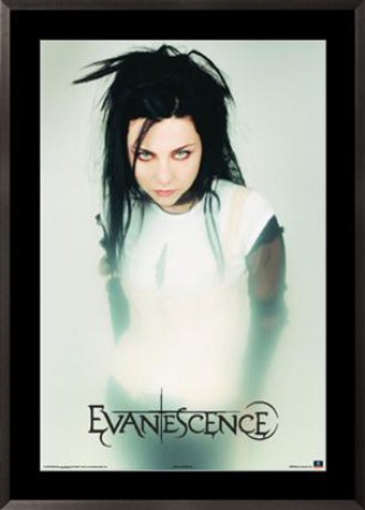 evanescence05.jpg